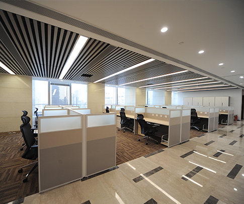Xingshi Investment